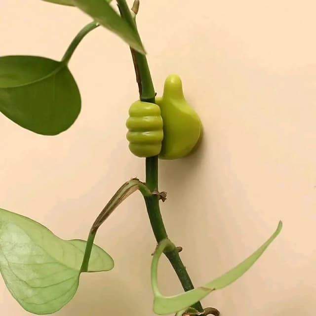 Hand hooks